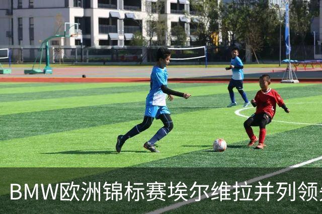 BMW欧洲锦标赛埃尔维拉并列领先第三轮 麦克罗伊T6